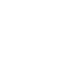 coche